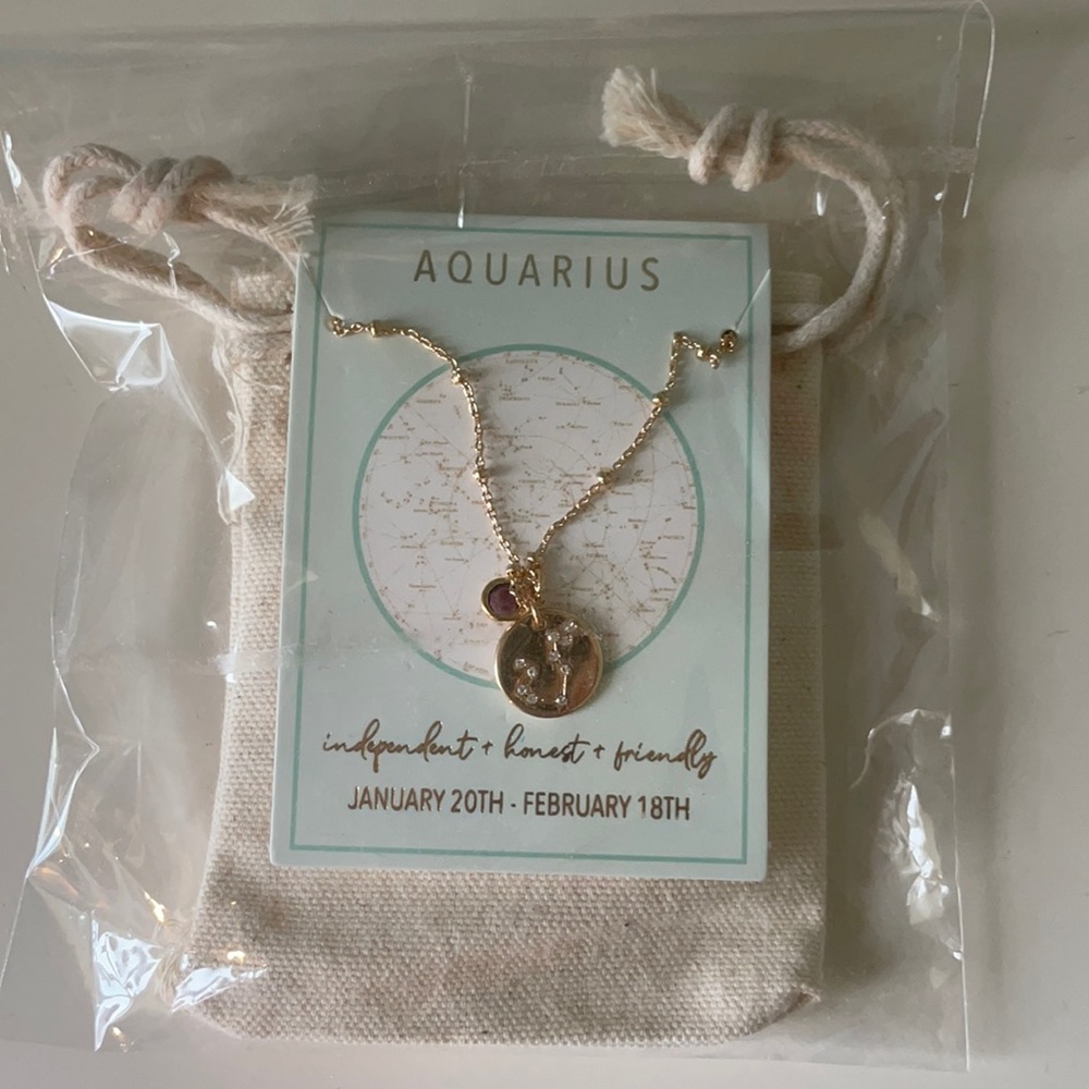 Aquarius Gold Necklace